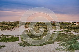 The dunes of Egmond aan Zee