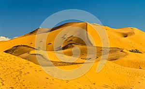 Dunes of Erg Chebbi near Merzouga in Morocco