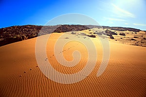 Sand dunes of Erg Chebbi in the Sahara Desert, Morocco photo