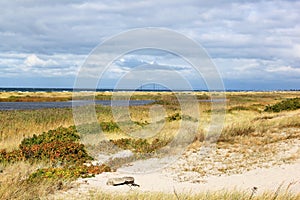 Dunes of Falsterbo in the south of Sweden photo