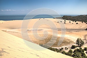 Dunes and forest on the Bazaruto Islands