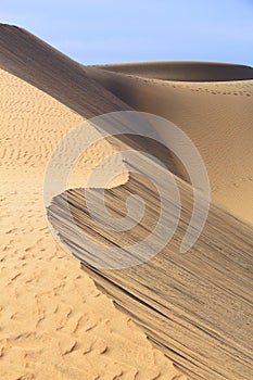 Dunes of Gran Canaria