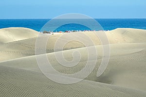 Dunes of gran canaria