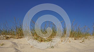 Dunes grass and blue sky