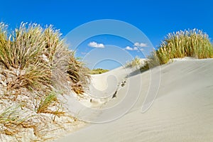 Dunes with Beachgrass