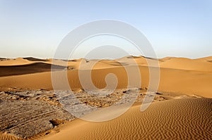 Dunes, Hamada du Draa, Morocco