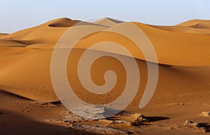 Dunes, Hamada du Draa, Morocco