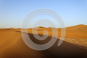 Dunes, Hamada du Draa, Morocco