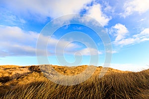 Dunes at Hvide Sande beach