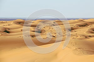 Sand dunes of Pinacate park near puerto peÃÂ±asco, sonora, mexico V I photo