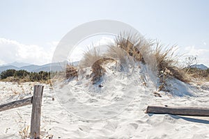 Dunes of La Cinta beach. San Teodoro (Sardinia - Italy) photo
