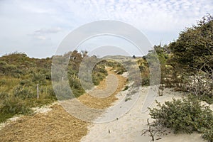 the dunes landscape in Haamstede in the Netherlands