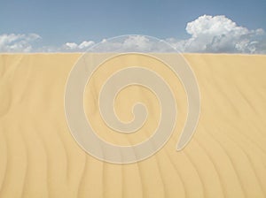Dunes landscape in Lencois Maranhenses. Brazil photo