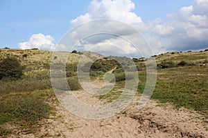 Dunes landscape, Noordhollands Duinreservaat