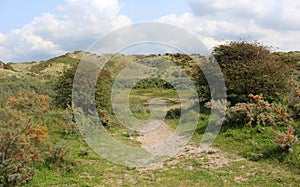 Dunes landscape, Noordhollands Duinreservaat