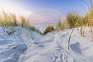 Landscape Terschelling The Netherlands photo