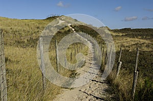Dunes of Le Touquet