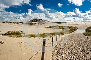 Dunes in Leba - Poland