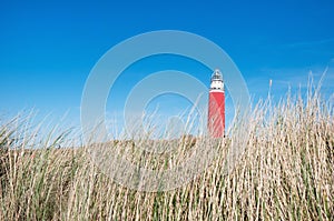 Dunes and lighthouse in Texel