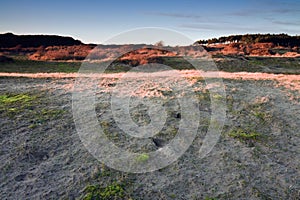 Dunes in low sunlight.