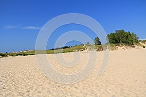 Dunes in Ludington State Park in Michigan