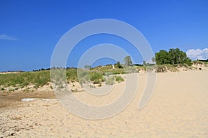 Dunes in Ludington State Park in Michigan