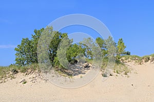 Dunes in Ludington State Park in Michigan