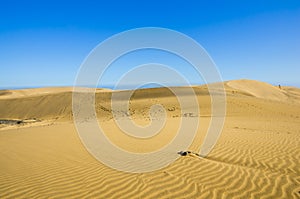 Dunes of Maspalomas