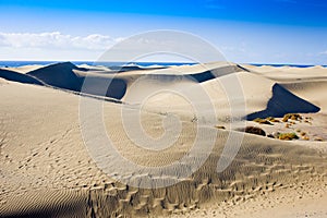 Dunes of Maspalomas Gran Canaria