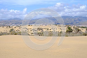 Dunes of Maspalomas. Gran Canaria, Spain.