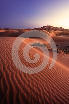 DUNES of Merzouga, Ergg Chebbi desert, Morocco