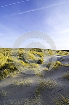 Dunes in the morning sunlight. Grasses grow on the hilltops. In the blue sky, white clouds move to the sea. Beach in the