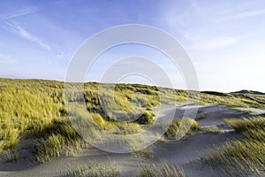 Dunes in the morning sunlight. Grasses grow on the hilltops. In the blue sky, white clouds move to the sea. Beach in the