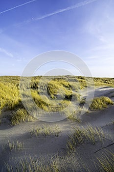Dunes in the morning sunlight. Grasses grow on the hilltops. In the blue sky, white clouds move to the sea. Beach in the