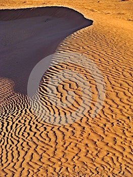 Dunes in the moroccan sahara desert