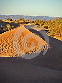 Dunes in the moroccan sahara desert