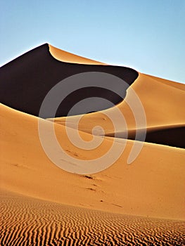 Dunes in the moroccan sahara desert