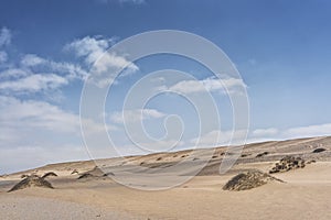 Dunes of the Namibe Desert with vegetation. Africa. Angola.