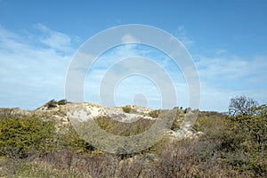 Dunes in nature reserve Meijendel.