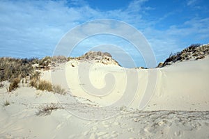 Dunes in nature reserve Meijendel.