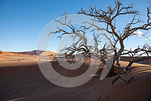 Dunes near Deadvlei, Sossusvlei near Sesriem in Namibia.