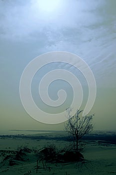 Dunes in the night