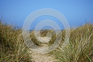 The dunes of the North Sea coast in Knokke-Heist.