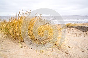 Dunes on the North Sea, Sweden