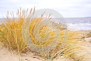 Dunes on the North Sea, Sweden