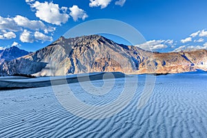 Dunes in Nubra Valley, Ladakh, India photo