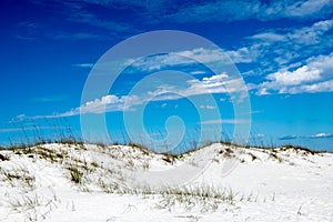 Dunes on Pensacola Beach