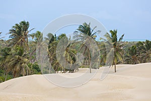 Dunes of Piaui, Brazil