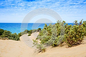 Dunes of Piscinas in Sardinia, Italy