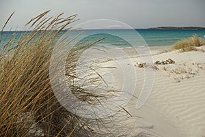 Dunes at Porto Pino's Bay